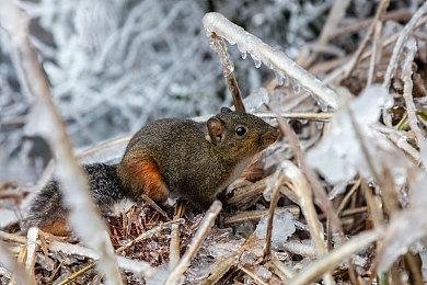 《匹诺曹的谎言》推迟至9＆19发行 试玩已提供