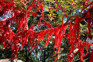 《方块方舟》白色情人节活动浪漫开启，爱心史莱姆闪亮登场